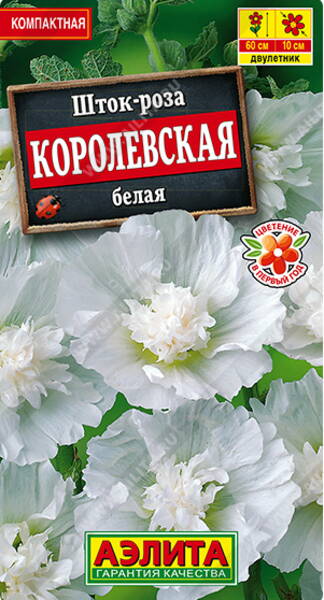 Tokkroos "Royal White"